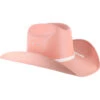 Shyanne Girls' Elastic Fit Straw Cowboy Hat -Aratt Clothing Shop 2000075887 650 P1