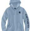Carhartt Women's Clarksburg Logo Graphic Hoodie -Aratt Clothing Shop 2000369256 450 P1